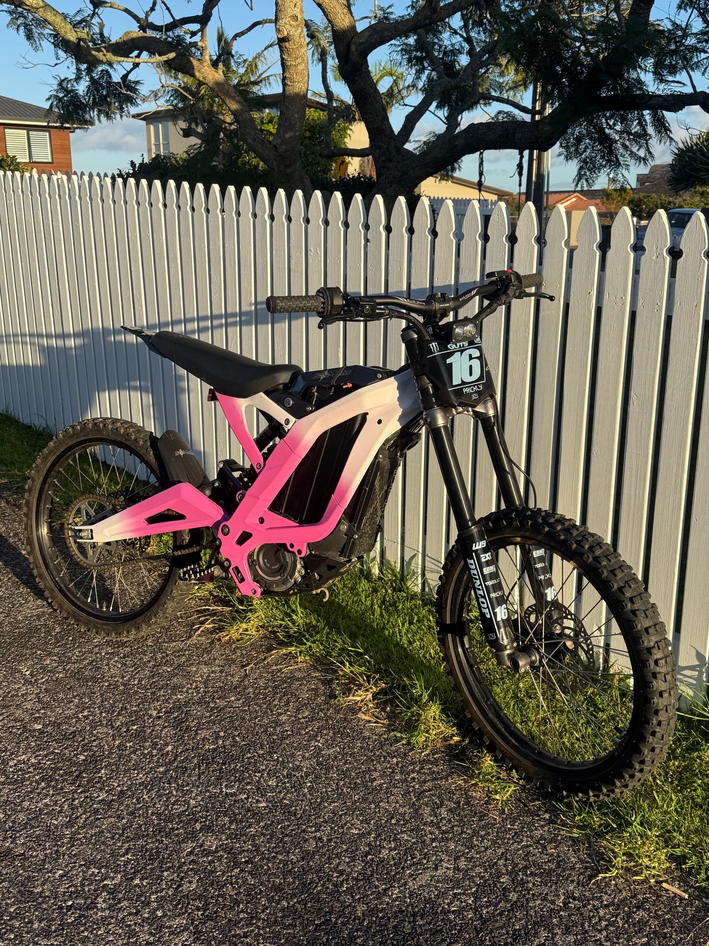 Surron LBX Custom Coated Frame Guards